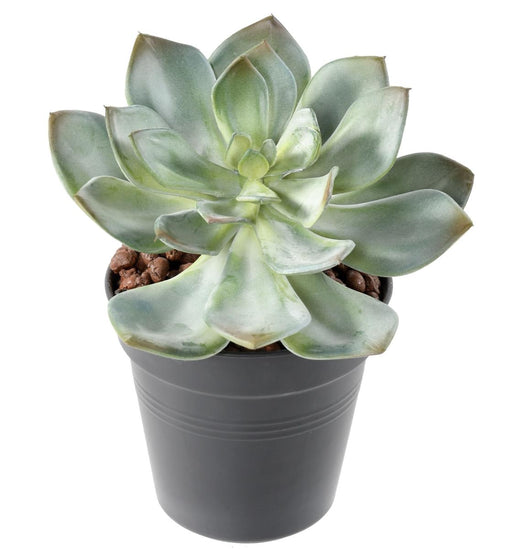 Kunstig Sukkulent Plante Kaktus Indendørs 12Cm