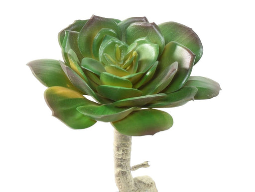 Kunstig Sukkulent Plante Kaktus Indendørs 15Cm