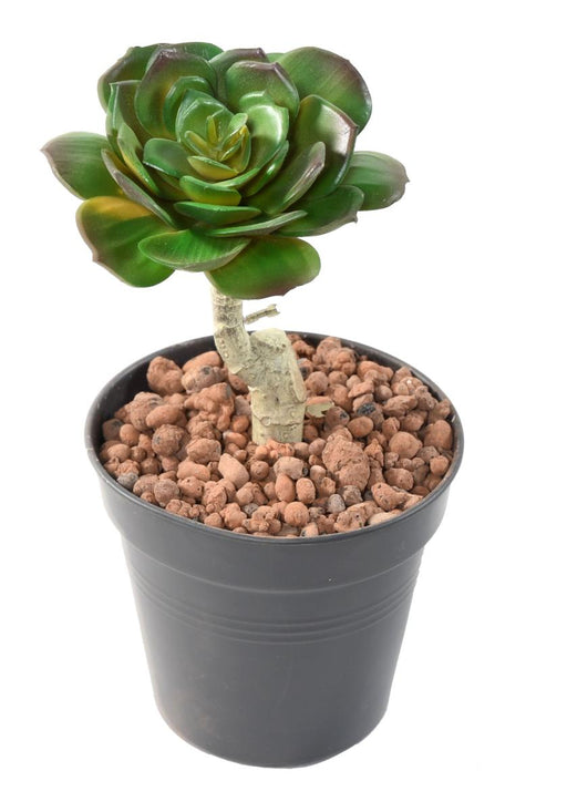 Kunstig Sukkulent Plante Kaktus Indendørs 15Cm