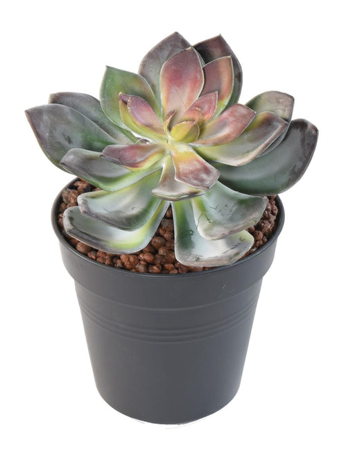 Kunstig Sukkulent Plante Kaktus Indendørs 16Cm