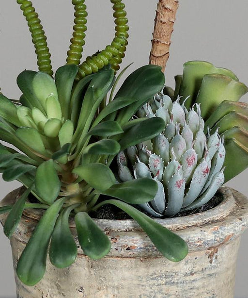 Kunstig Sukkulent Plante I Potte 25Cm