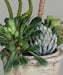 Kunstig Sukkulent Plante I Potte 25Cm