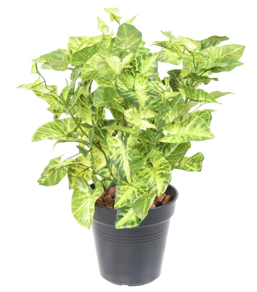 Syngonium Kunstig Plante 40Cm Broget Indendørs