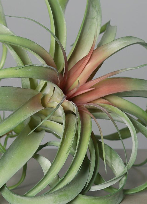 Kunstig Plante Tillandsia På Stake 28Cm Dekoration