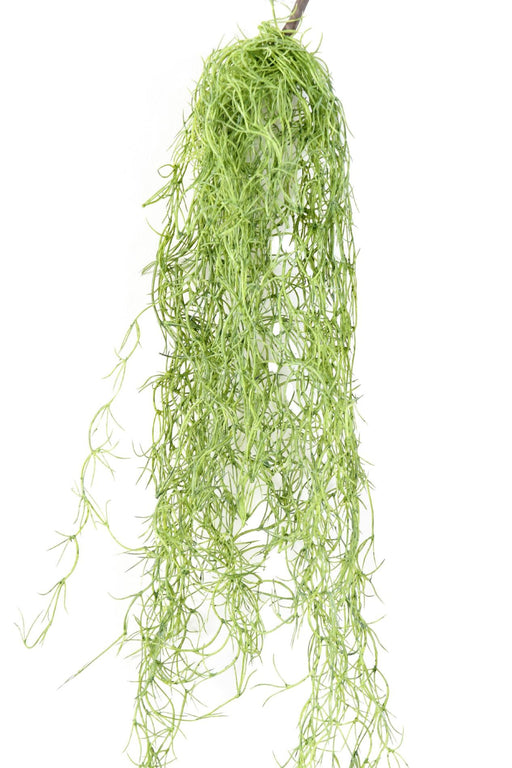 Kunstig Plante Tillandsia Grøn 80Cm Dekoration