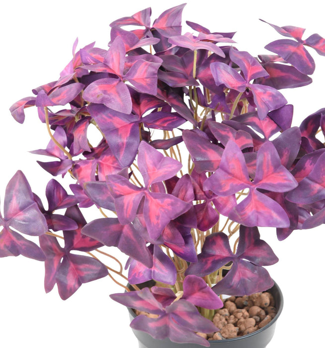 Kunstig Plantekløver Oxalis 30 Cm Lilla Dekoration