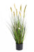 Kunstig Rævehaleplante I Potte 60Cm