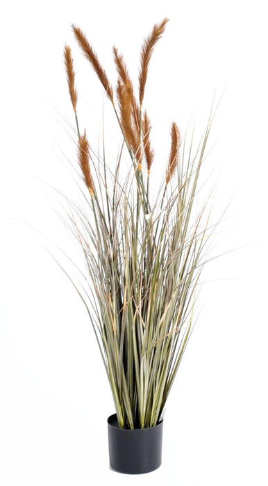 Rævehaleplante Med Kunstig Eng I 90 Cm Potte