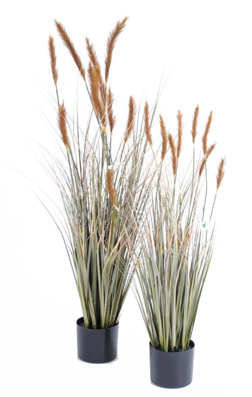 Rævehaleplante Med Kunstig Eng I 90 Cm Potte