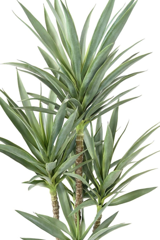 Kunstig Yucca Plante 5 Stængler H.150Cm Indvendig Dekoration