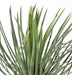 Kunstig Plante Yucca Rostrata 40Cm Til Dekoration