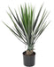 Kunstig Plante Yucca Rostrata 60 Cm Grøn