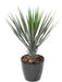 Kunstig Plante Yucca Rostrata 60 Cm Grøn