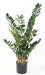 Kunstig Plante Zamioculcas 110Cm Til Indendørs