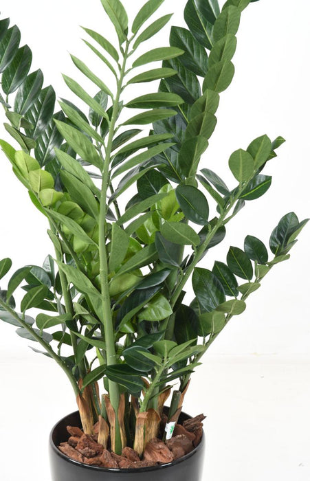 Kunstig Plante Zamioculcas 110Cm Til Indendørs