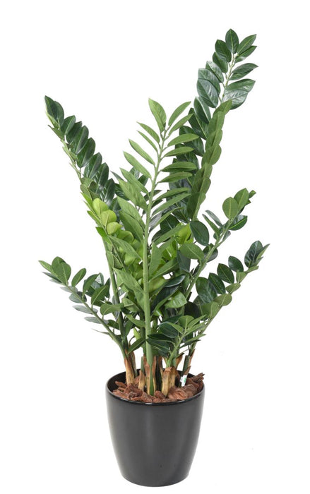 Kunstig Plante Zamioculcas 110Cm Til Indendørs