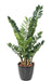 Kunstig Plante Zamioculcas 110Cm Til Indendørs