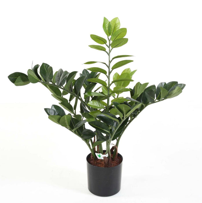 Kunstig Plante Zamioculcas 60Cm Til Indendørs