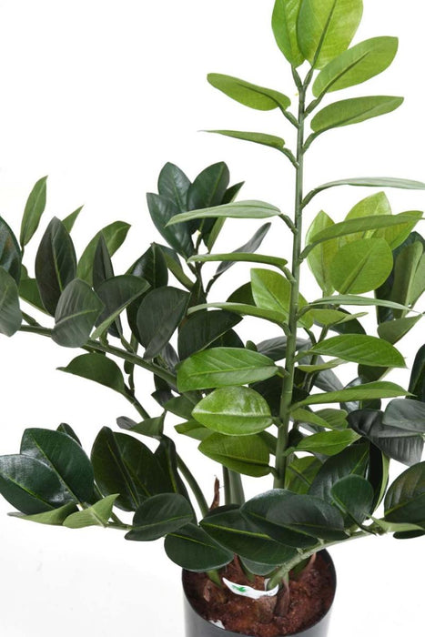 Kunstig Plante Zamioculcas 60Cm Til Indendørs