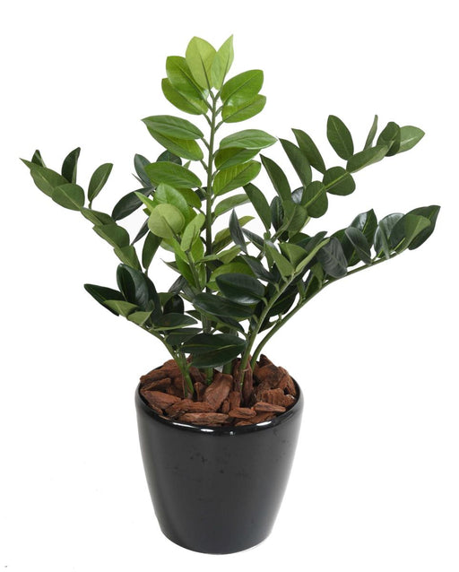 Kunstig Plante Zamioculcas 60Cm Til Indendørs