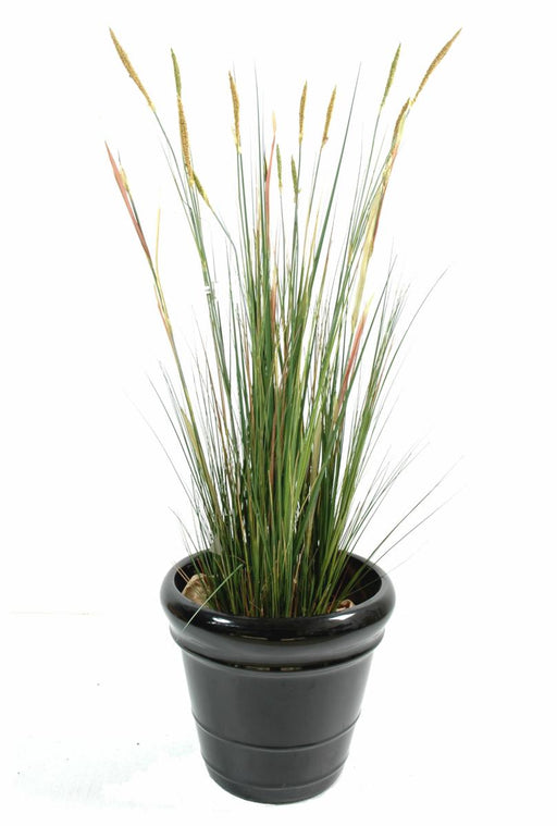Kunstig Plante Zanichellie Marsh 155Cm