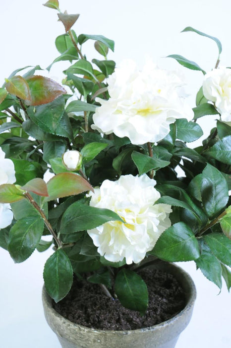 Kunstig Camellia Plante I Potte 56Cm Hvid