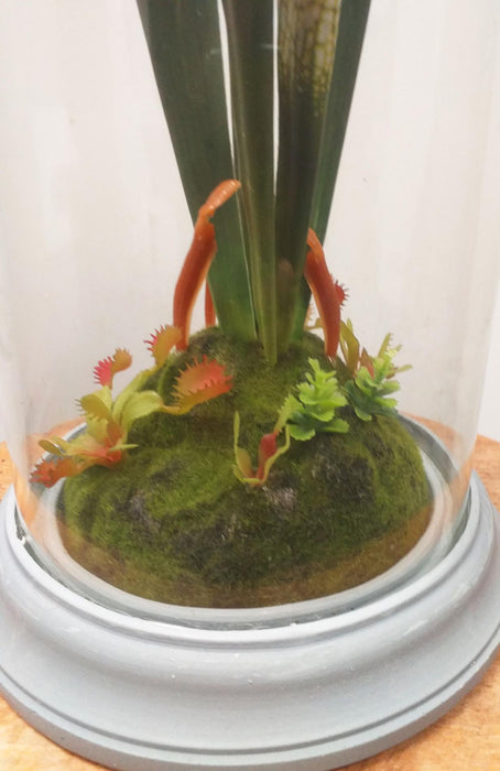Kunstig Kødædende Plante Under Glasdæksel