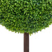 Kunstig Buksbom Plante Med Grøn Kugleform Potte 50 Cm