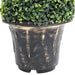 Kunstig Spiral Buksbom Plante Med Grøn Potte 117 Cm