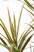 Kunstig Dracaena Plante 3 Hoveder 140 Cm