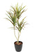 Kunstig Dracaena Plante 3 Hoveder 140 Cm