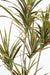 Kunstig Dracaena Plante 5 Hoveder 190Cm