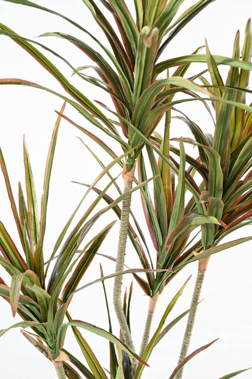 Kunstig Dracaena Plante 5 Hoveder 190Cm
