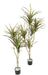 Kunstig Dracaena Plante 5 Hoveder 190Cm