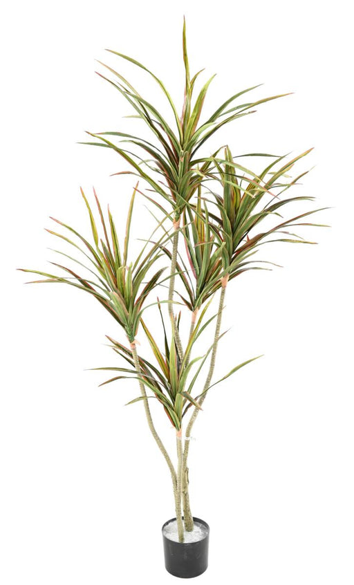Kunstig Dracaena Plante 5 Hoveder 190Cm