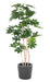 Kunstig Fatsia Japonica Plante 180 Cm Indvendig Dekoration