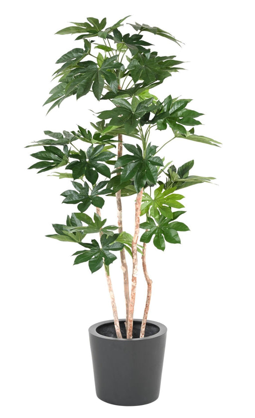 Kunstig Fatsia Japonica Plante 180 Cm Indvendig Dekoration