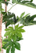Kunstig Fatsia Japonica Plante 180 Cm Indvendig Dekoration