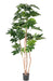 Kunstig Fatsia Japonica Plante 180 Cm Indvendig Dekoration