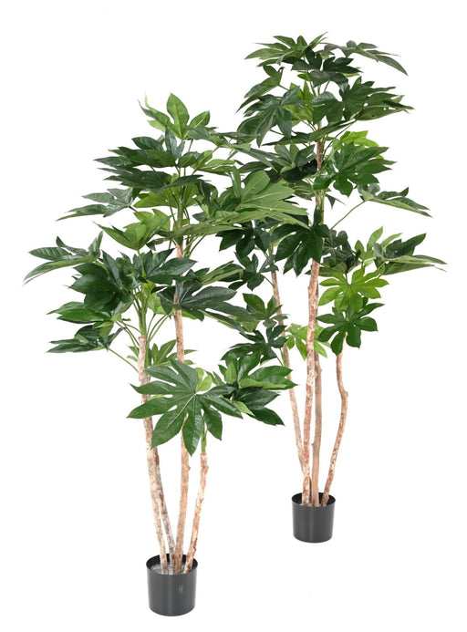 Kunstig Fatsia Japonica Plante 180 Cm Indvendig Dekoration