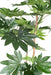 Falsk Plante Fatsia Japonica 150 Cm Til Indendørs