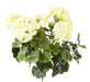 Kunstig Geranium Plante 6 Hoveder UV 35Cm Hvid