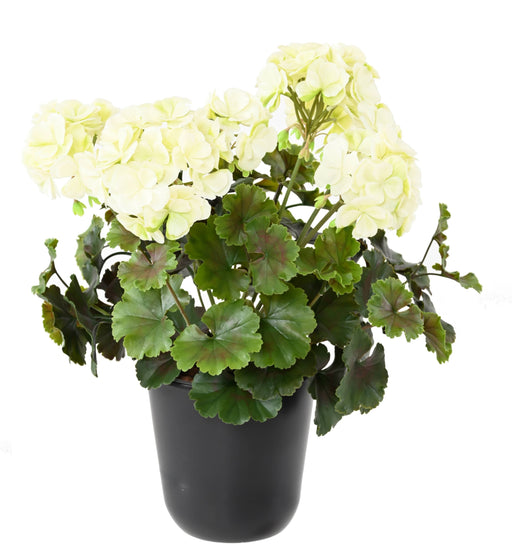 Kunstig Geranium Plante 6 Hoveder UV 35Cm Hvid