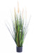 Kunstgræsplante Carex 120Cm Indendørs
