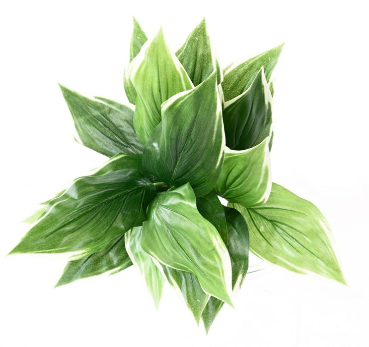 Kunstig Hosta Plante På Stake 60 Cm Grøn Hvid