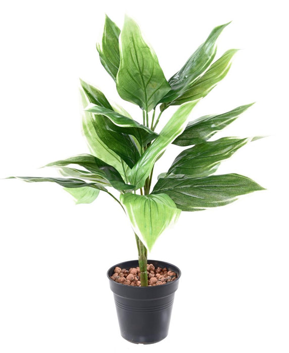 Kunstig Hosta Plante På Stake 60 Cm Grøn Hvid