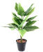 Kunstig Hosta Plante På Stake 60 Cm Grøn Hvid