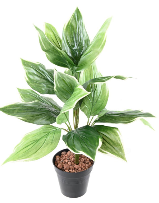 Kunstig Hosta Plante På Stake 60 Cm Grøn Hvid