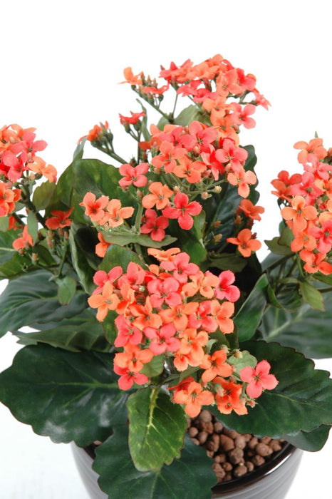 Kunstig Kalanchoe Plante På Stave 25 Cm Fersken