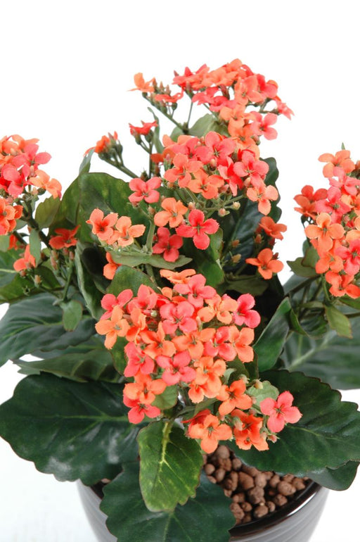 Kunstig Kalanchoe Plante På Stave 25 Cm Fersken